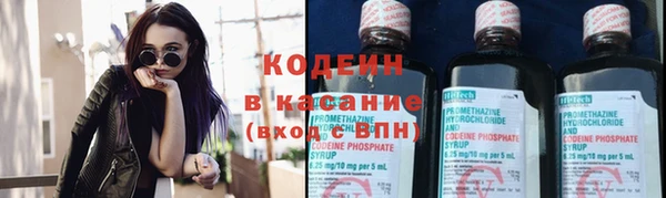 дмт Нея
