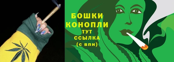 индика Белоозёрский