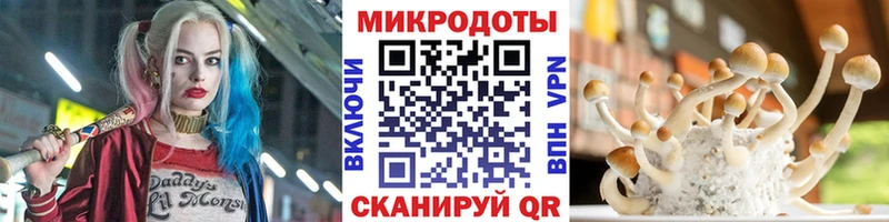 Псилоцибиновые грибы MAGIC MUSHROOMS  Будённовск 