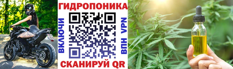 shop как зайти  Будённовск  blacksprut зеркало  Марихуана конопля  где можно купить наркотик 
